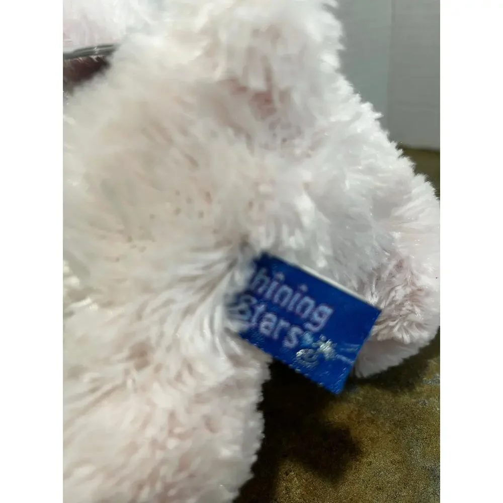 RUSS Shining Stars official International star registry name your own star bear
